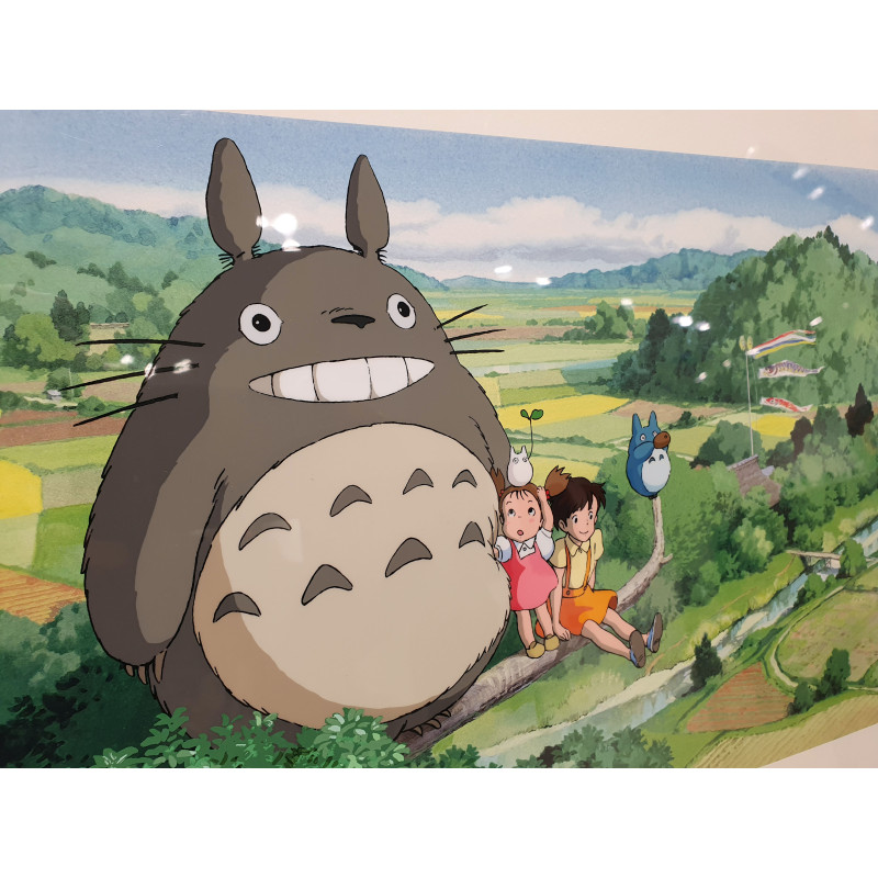 Vintage Livre d'art original Ghibli Totoro Mon voisin Totoro Anime Livre  d'art de peinture japonaise Cadeau Studio Ghibli -  France